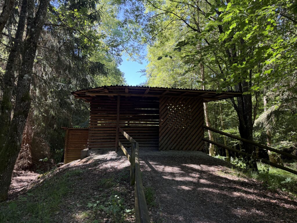 Außenansicht des Wildbeobachtungsstands Grünes Brett im Naturpark Schönbuch zur Beobachtung von Rotwild und anderen Wildtieren.
