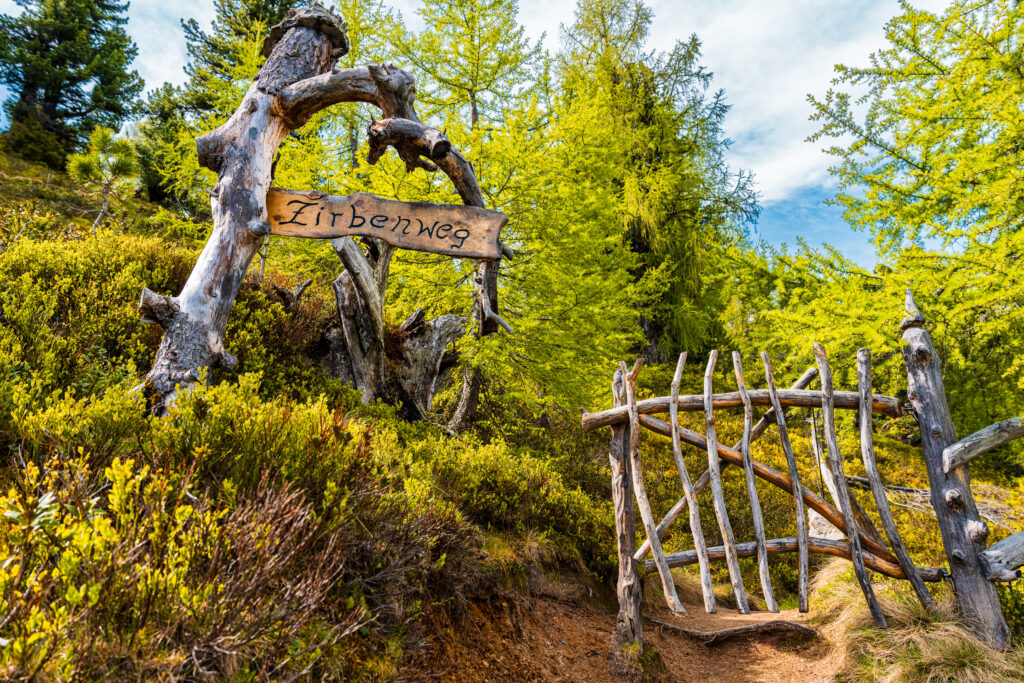 Wooden entrance to the Zirbenweg on Graukogel in Bad Hofgastein surrounded by ancient Swiss stone pine trees in the Austrian Alps.