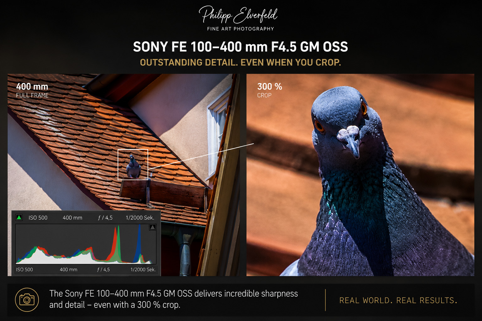 Comparison between a full-frame image at 400 mm and a 300 percent crop captured with the Sony FE 100-400mm F4.5 GM OSS, demonstrating exceptional sharpness and detail retention.