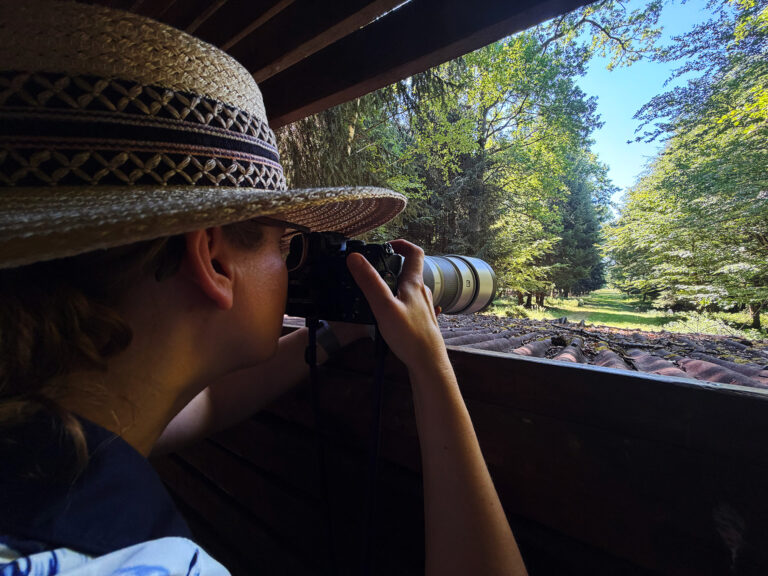 Fotografin mit Teleobjektiv in einer Rotwild-Besucherkanzel im Naturpark Schönbuch bei der Beobachtung von Rothirschen und Wildtieren.