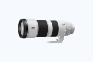 Sony FE 200–600mm F5.6–6.3 G OSS telephoto lens used by fine art photographer Philipp Elverfeld for bird, wildlife and nature photography.