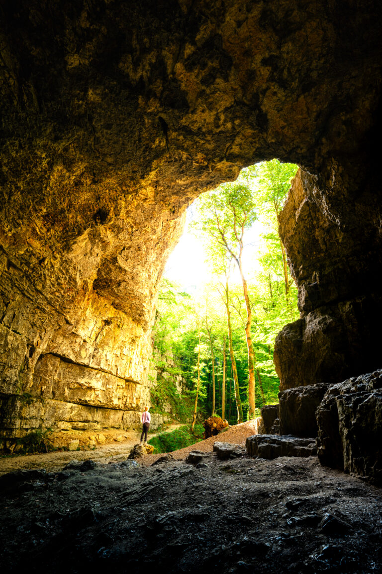 Blick aus dem dunklen Inneren der Falkensteiner Höhle auf das große Höhlenportal und den Wald der Schwäbischen Alb.