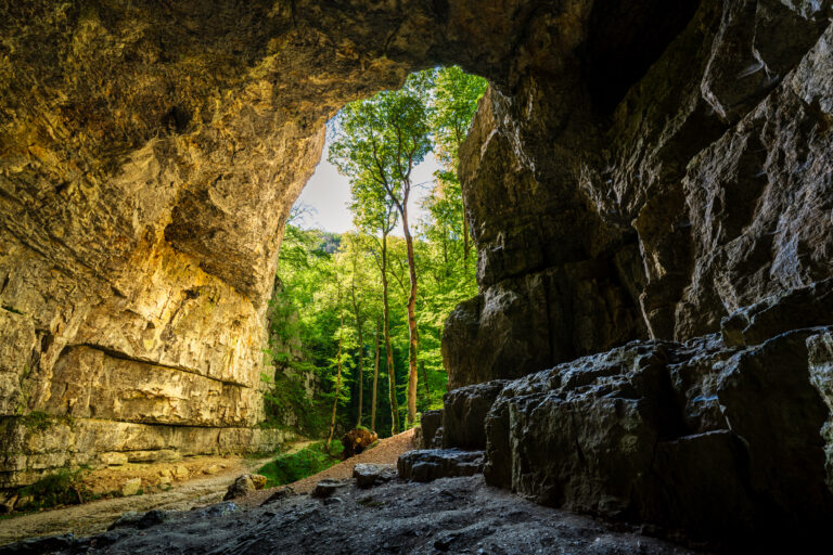 Blick aus der Falkensteiner Höhle bei Grabenstetten auf den Wald der Schwäbischen Alb