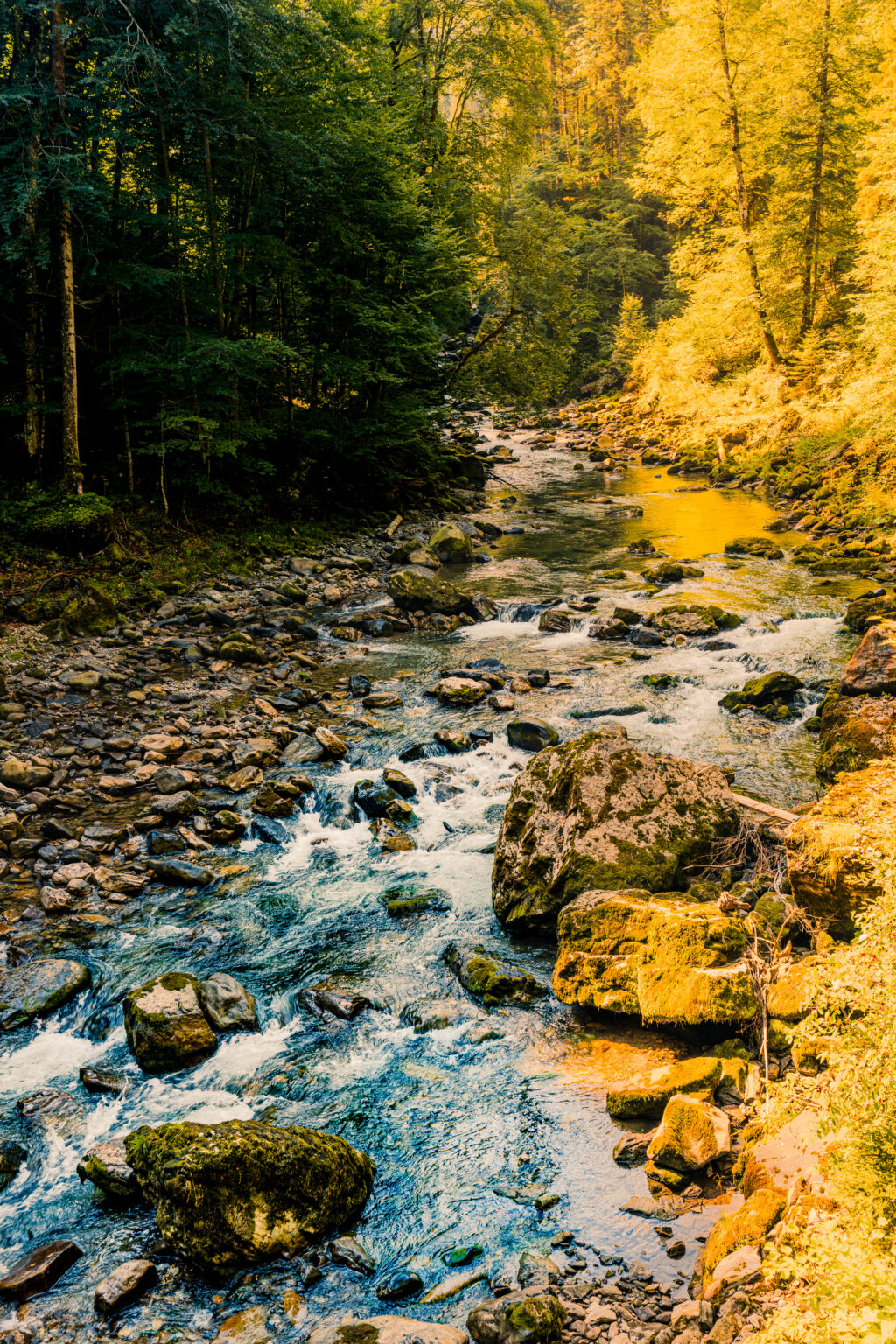 Goldenes Morgenlicht fällt auf die Breitach vor der Breitachklamm bei Oberstdorf und trifft auf dunklen Wald und türkisfarbenes Wasser