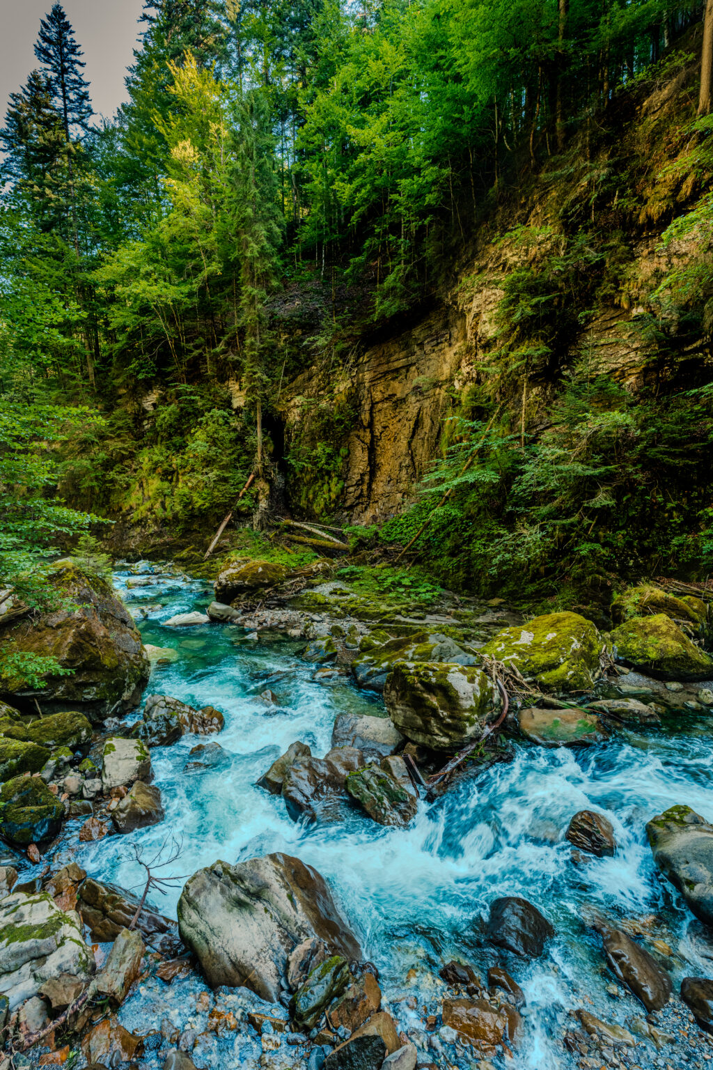 Türkisfarbenes Wasser der Breitach fließt zwischen Felsen und dichtem grünen Wald in Richtung Breitachklamm bei Oberstdorf